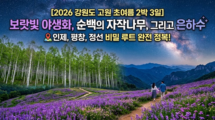  [2026 강원 고원 초여름 2박 3일] 보랏빛 야생화·새하얀 자작나무·은하수 삼색 낭만 여행 코스 | 인제·평창·정선 비밀 루트 완전 정복