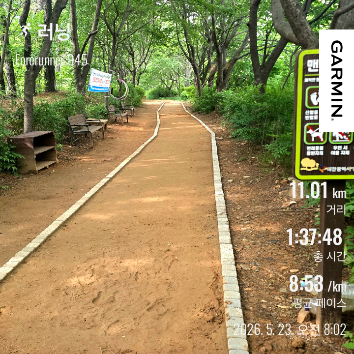 26.05.23 | 대전 뾰족산 트레일러닝 11km
