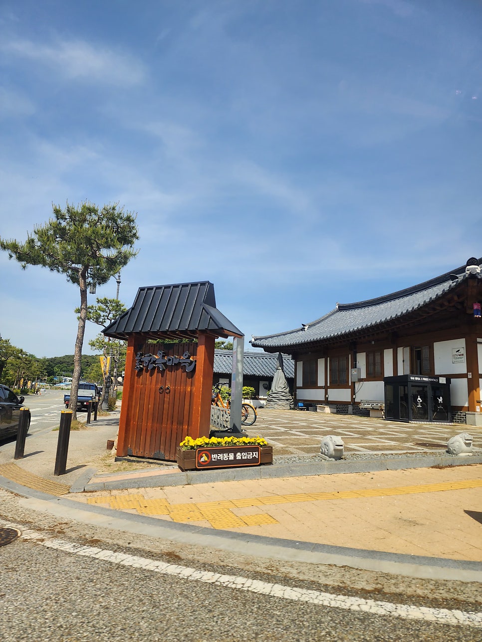 눈꽃나무 사진 2