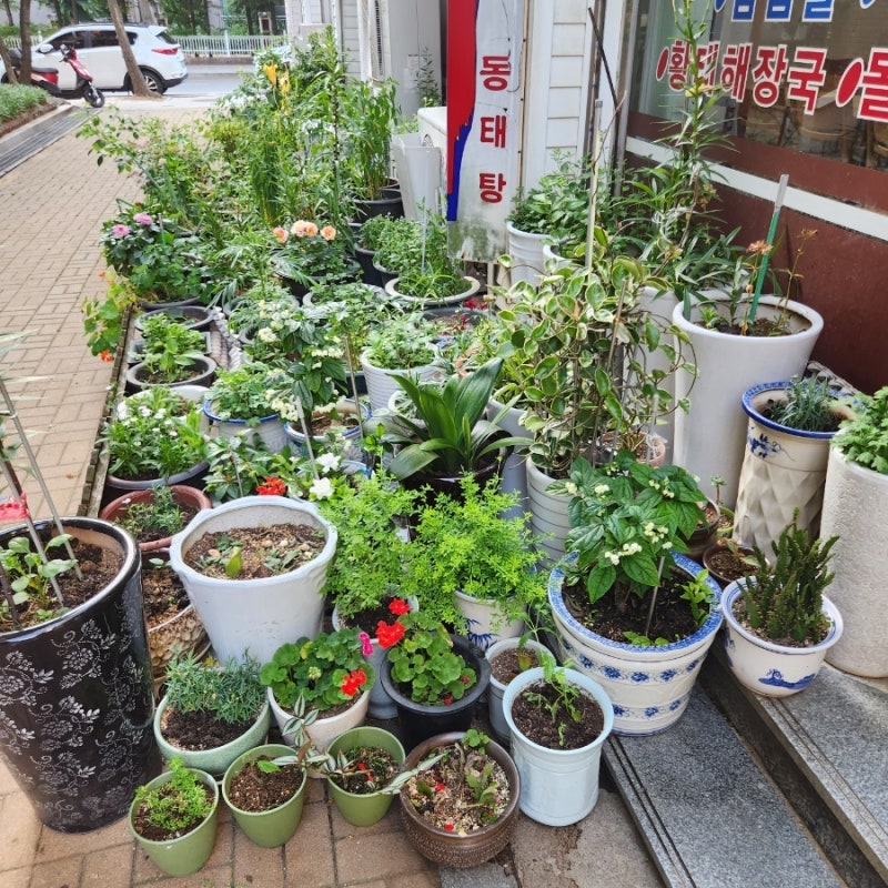 황씨네식당 사진 2
