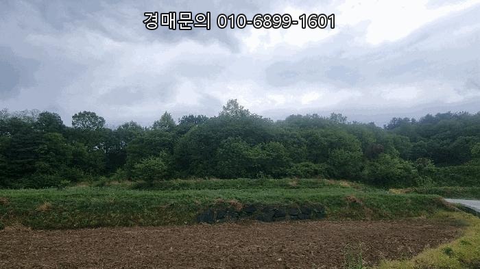 경상남도 함양의 미래 가치를 품은 함양읍 죽곡리 자연림 토지 경매, 1회 유찰로 1억대 최저가 시작! 3천평대 넓은 임야 투자, 지금이 기회입니다. (창원지방법원 거창지원 2025