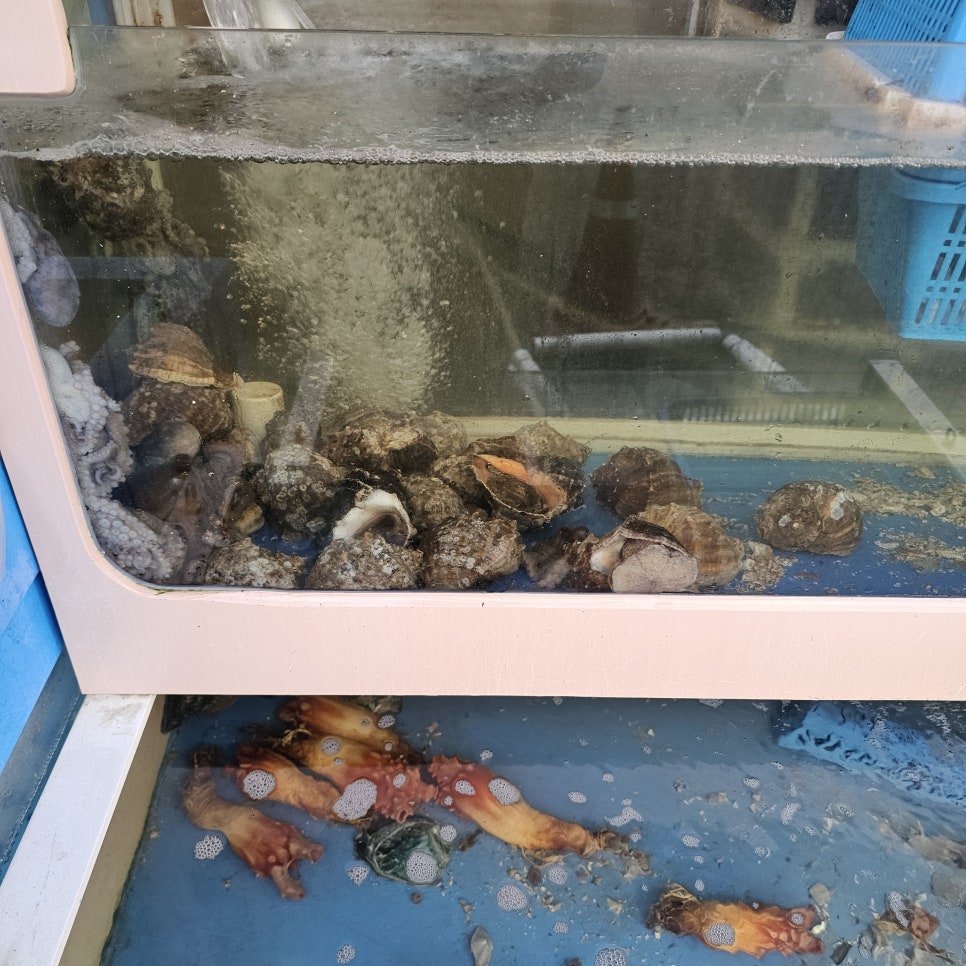 황금수산 사진 5