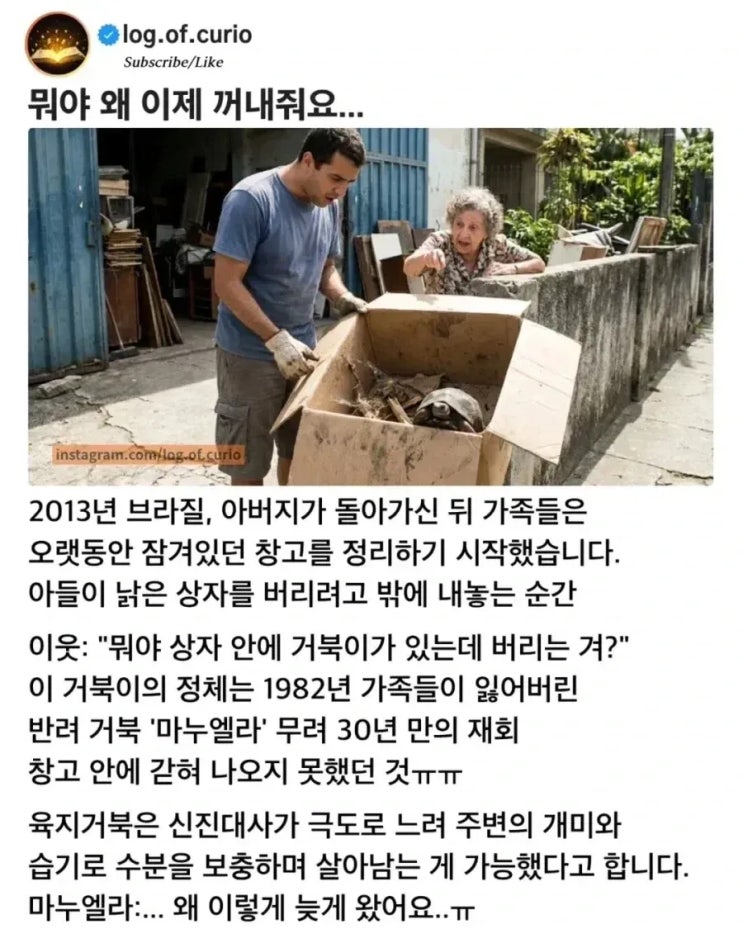  무려 30년 만에 산 채로 발견 된 애완 거북이.jpg