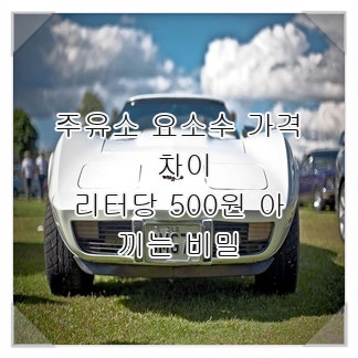 주유소 요소수 가격 차이, 리터당 500원 아끼는 비밀