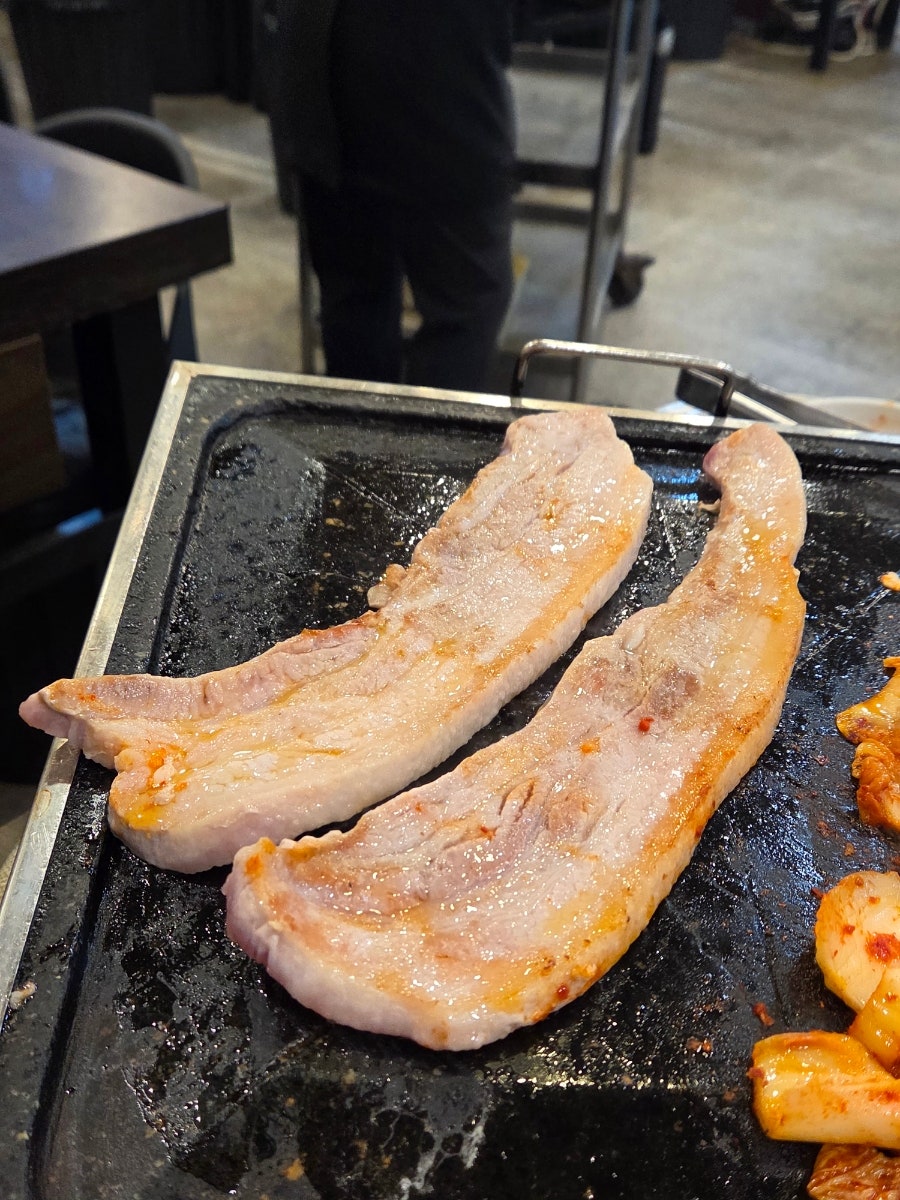 솔밭 사진 5