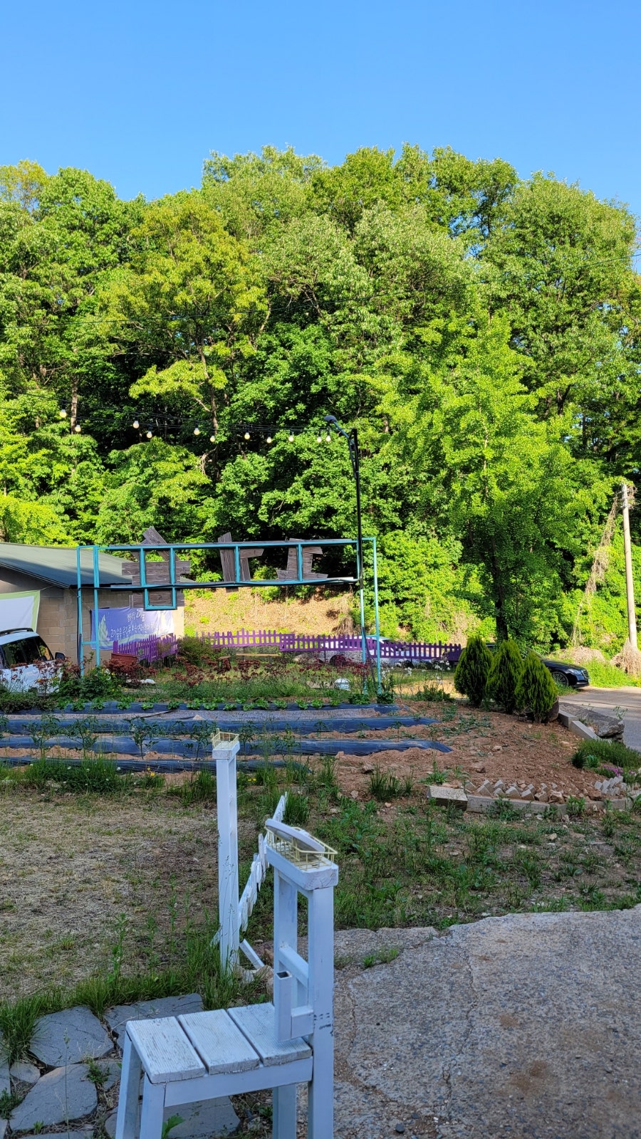 고기숲 사진 4