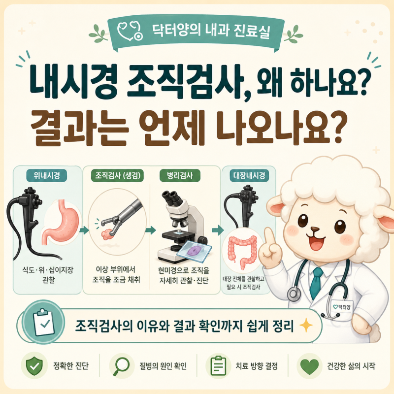 내시경 조직검사, 왜 하나요? 결과는 언제 나오나요?
