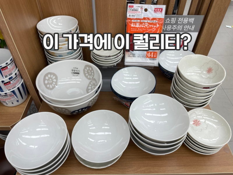 이 가격에 이 퀄리티? 다이소 일본 도자기 그릇