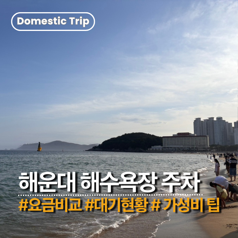 [해운대해수욕장] 주차요금 비교 | 위치 가격 할인 주말대기 실현황