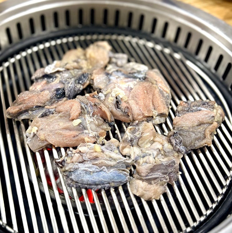  진주 하대동 일산오골계숯불구이 까만 닭의 반전 매력
