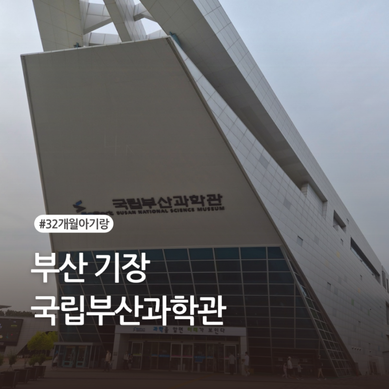 32개월 아이랑 실내 가볼만한곳 기장 국립부산과학관 새싹누리관 로봇댄스