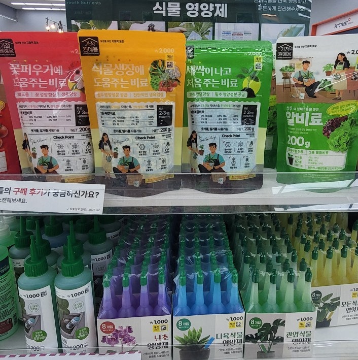 [다이소 원예용품] 다이소 비료 추천, 다이소 화분 추천 (feat. 대왕토끼발고사리)
