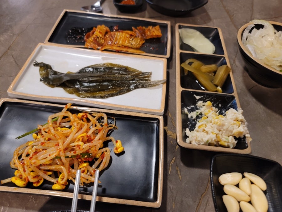 돈돼지 사진 4