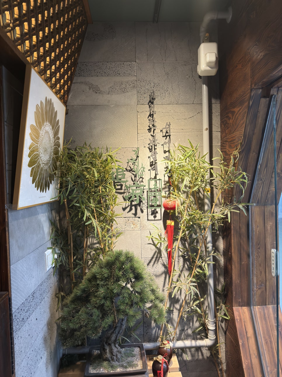추량 사진 3