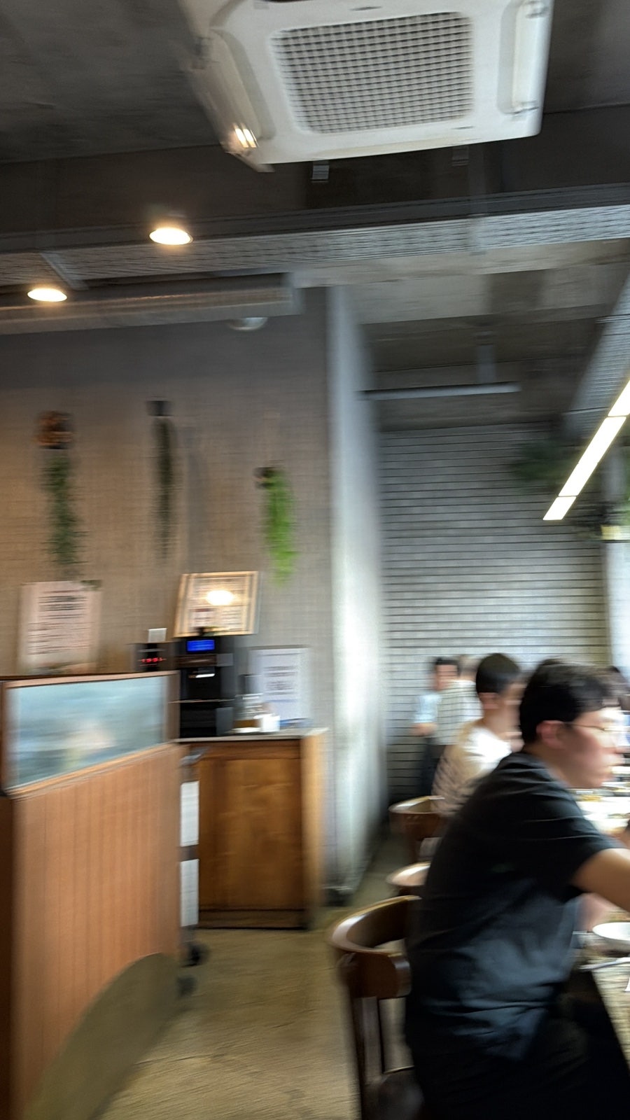 고고기 사진 5