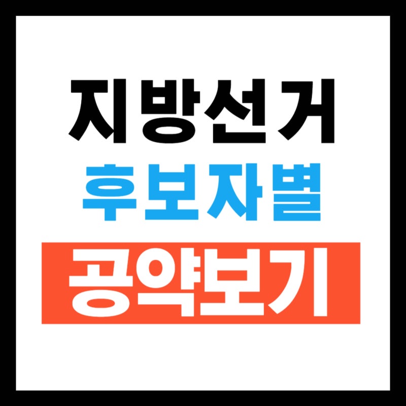 지방선거 공약 보는법 후보자별 공약 확인 방법