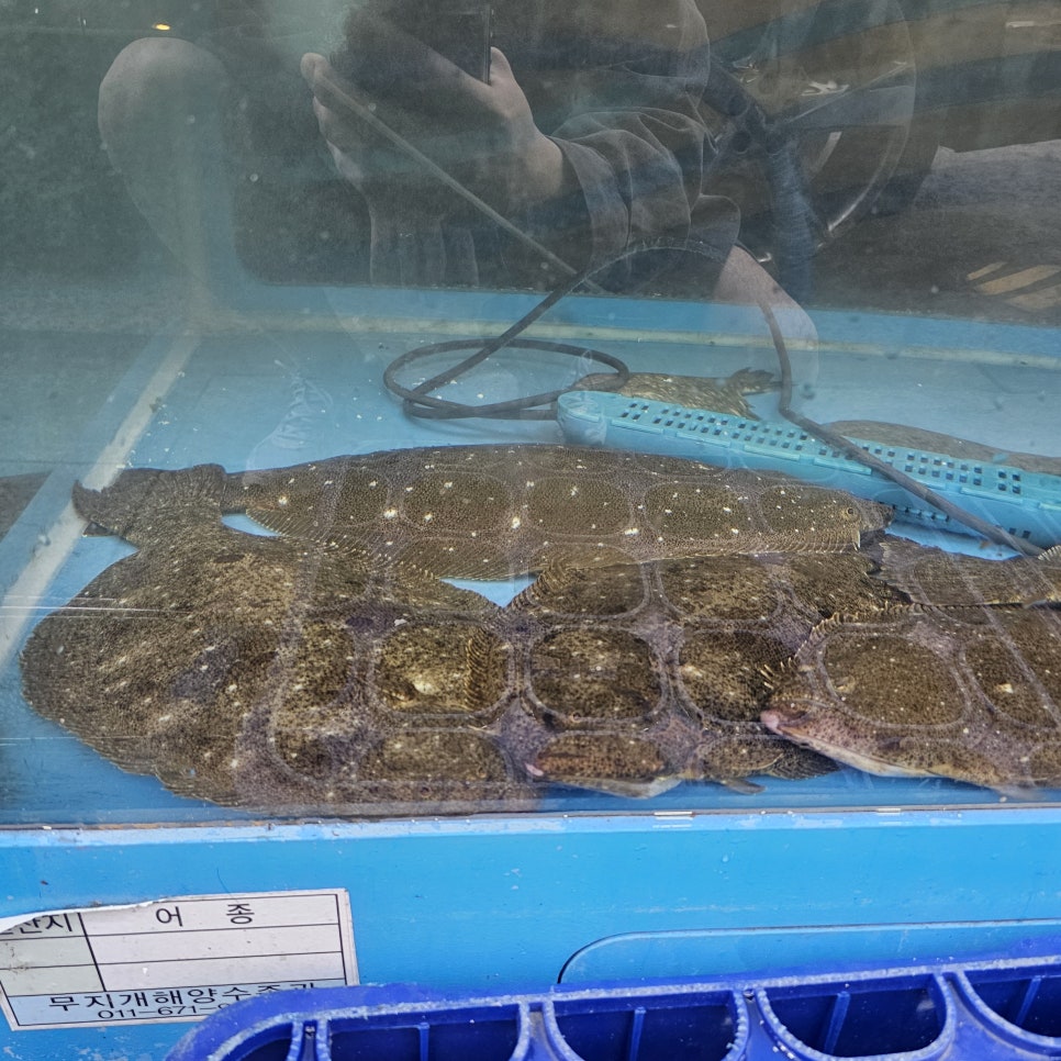 황금수산 사진 3