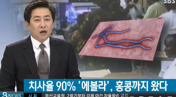  에볼라 바이러스 다시 난리 난 이유? 2014년 공포부터 현재 상황까지 정리