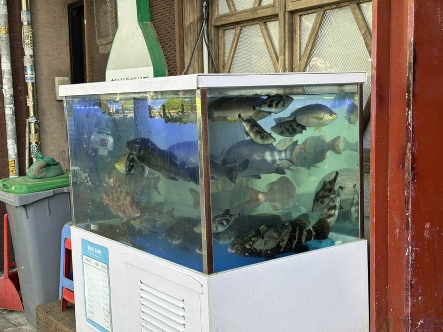 현이네회시장 사진 3