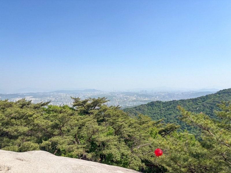 [등산기록] 초보자 도봉산 마당바위 등산코스 추천 (귀여운 고양이 가득!)