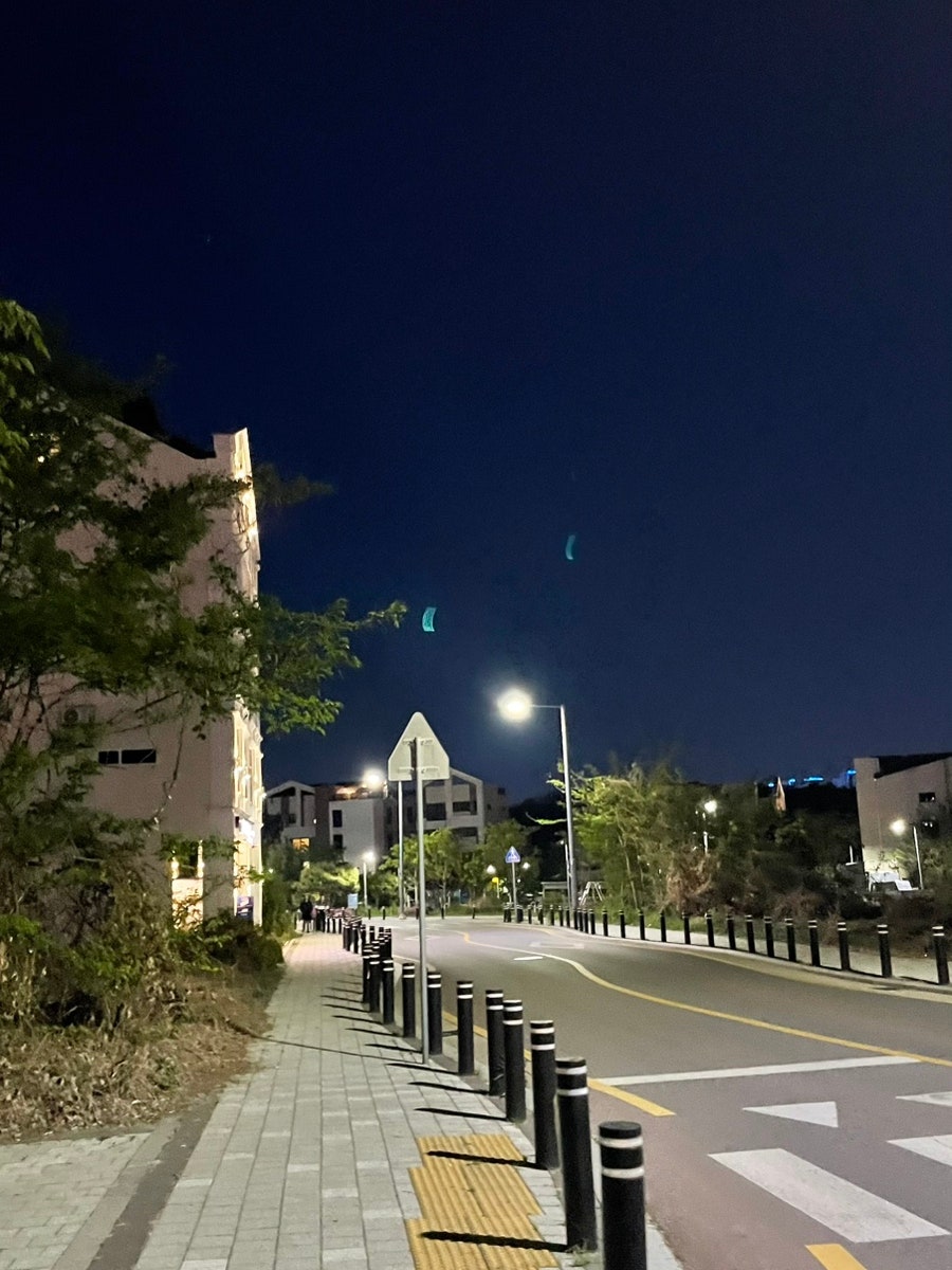 왕천파닭 지제동삭점 사진 4