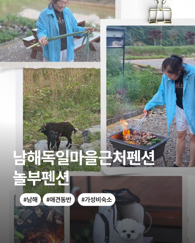 남해 독일마을 근처 펜션 애견동반 숙소 놀부펜션