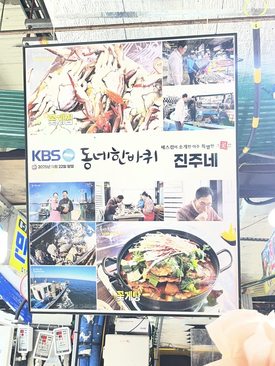 진주네 사진 2