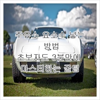 주유소 요소수 넣는 방법, 초보자도 3분만에 마스터하는 꿀팁