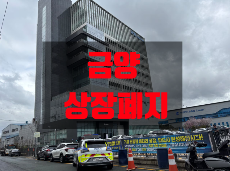  금양 결국 상장폐지 결정, 시가총액 10조원 육박하던 이차전지 대장주의 서글픈 몰락에 시장 충격