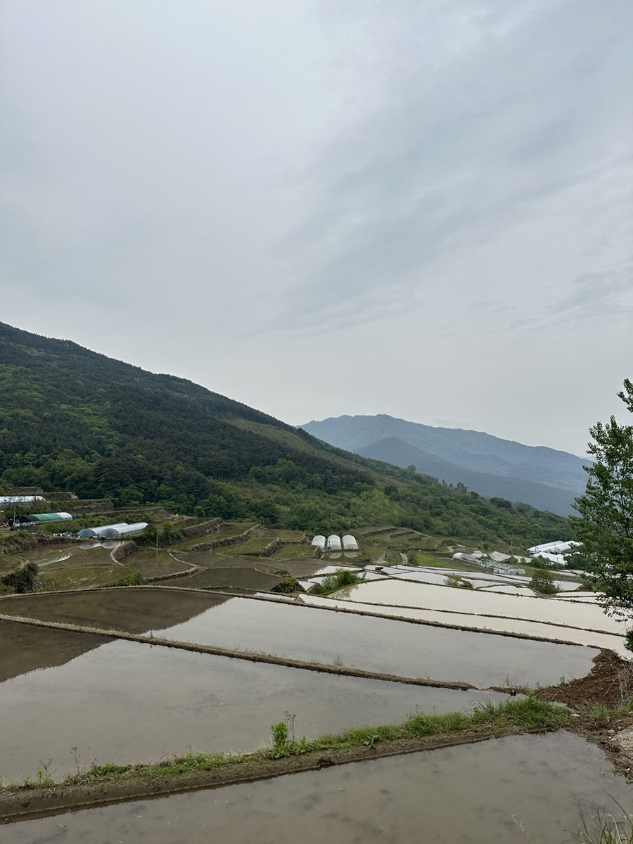 등구재황토방 사진 2