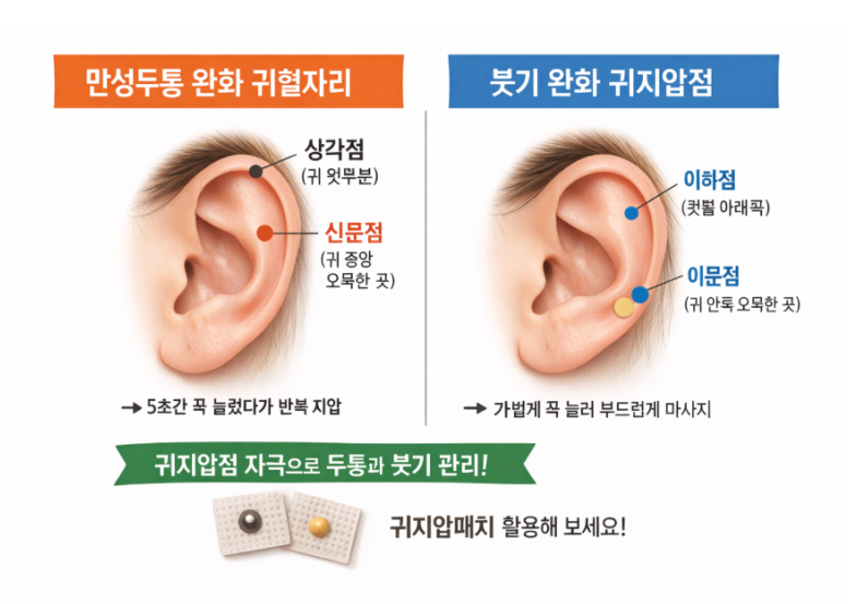 하루5분 귀혈자리 만성두통 줄이는 귀지압점 귀지압 케어