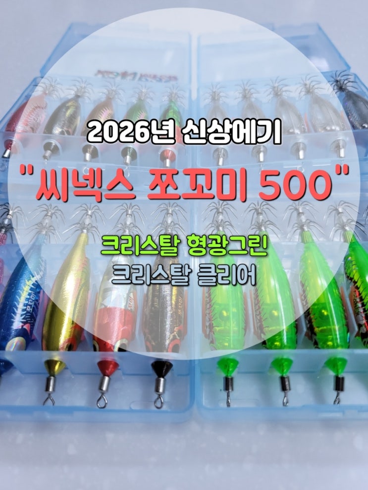  갑오징어 쭈꾸미 다 잡는 신상 에기 씨넥스 쪼꼬미 500 실전분석