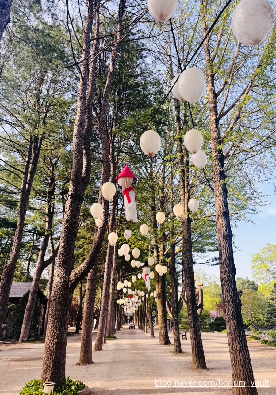 고양이행복구역 사진 1