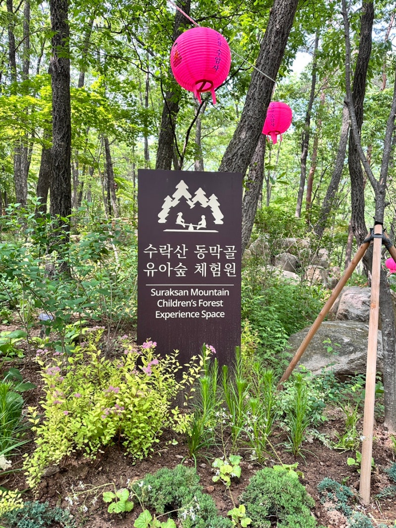 아이랑 가기 좋은 숲 놀이터! 수락산 동막골 유아숲 체험장, 수락산 숲 놀이터