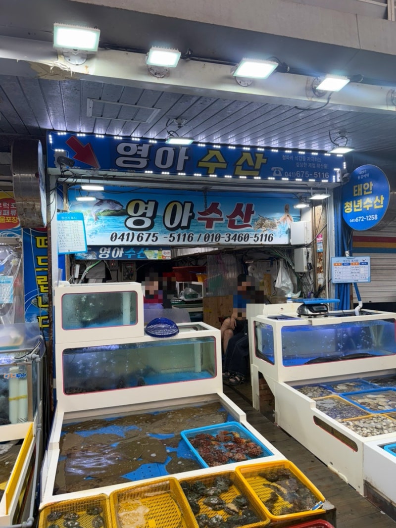 태안서부시장 수산물골목 영아수산 회포장 | 주차장, 결제 할인 꿀팁