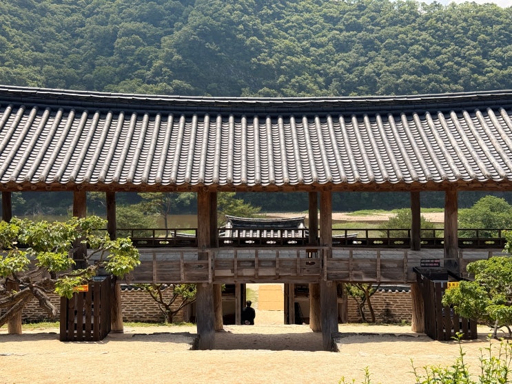  왜 한국에서 가장 아름다운 서원이라 할까? 안동 병산서원 방문 솔직 후기 