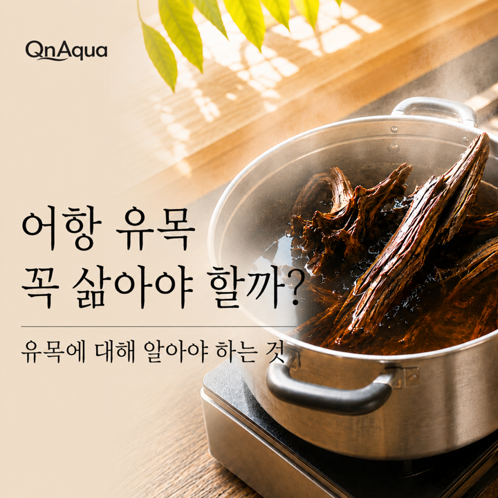 어항 유목 꼭 삶아야 할까? 유목에 대해 알아야 하는 것