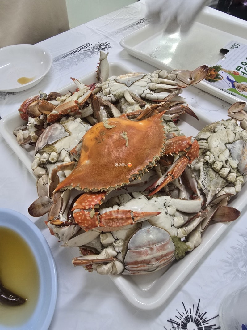 연안부두 혜자상회 암꽃게 시세 목포집 초장집 상차림 알빵빵