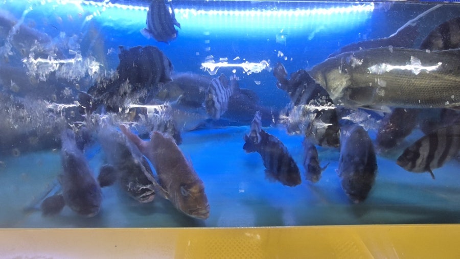 짱구네 사진 4