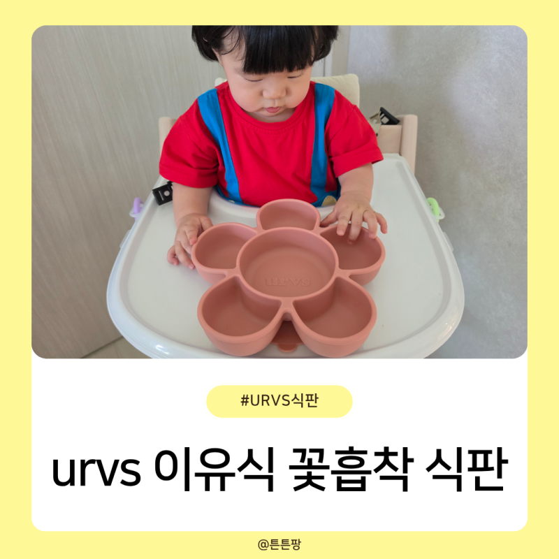 아기 이유식 유아식 urvs 꽃흡착 식판 10% 할인 구입 후기 및 흡착 효과는?