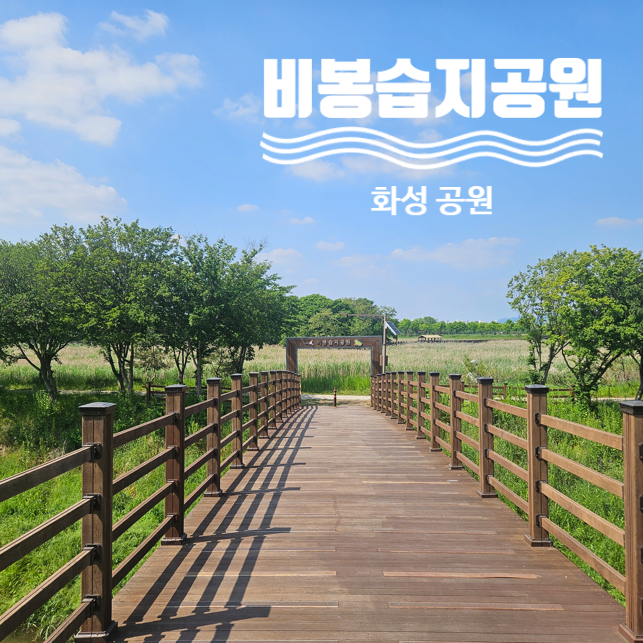 화성공원 가볼만한곳 산책하기 좋은 비봉습지공원