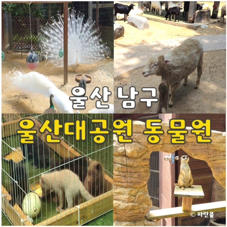  울산 대공원 동물원 경남 아이와 함께 가볼 만한 곳