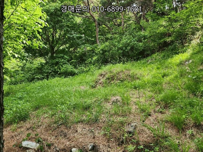  대구 동구 임야, 중대동 산46 법원 경매로 압도적 가치 확보 기회! 2025타경8101
