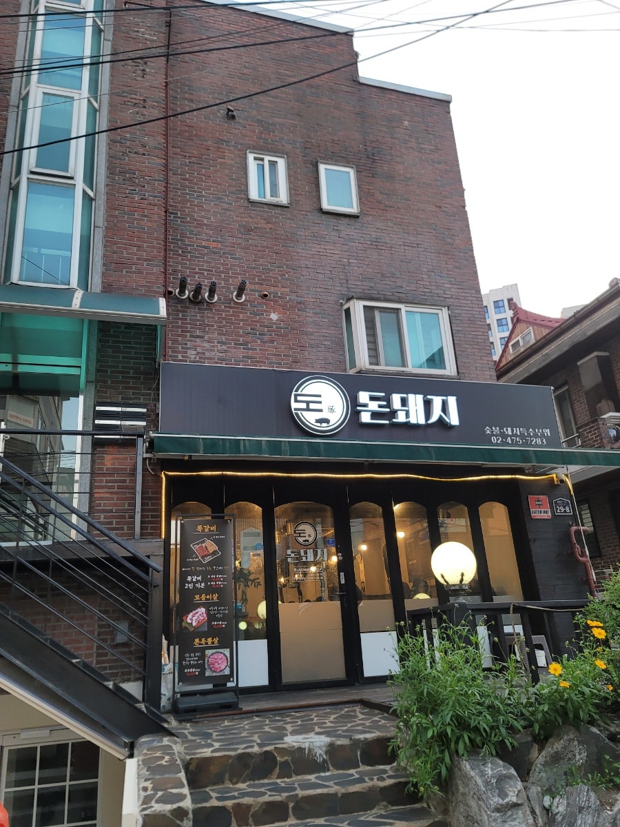 돈돼지 사진 2