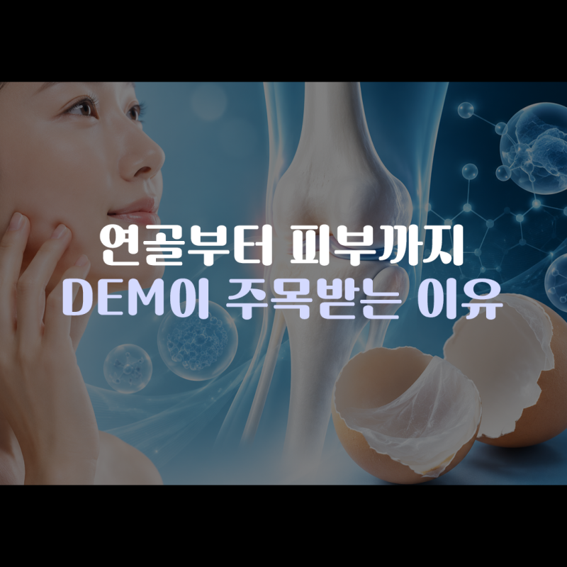 연골부터 피부까지?요즘 주목받는 DEM, 왜 관심을 받고 있을까