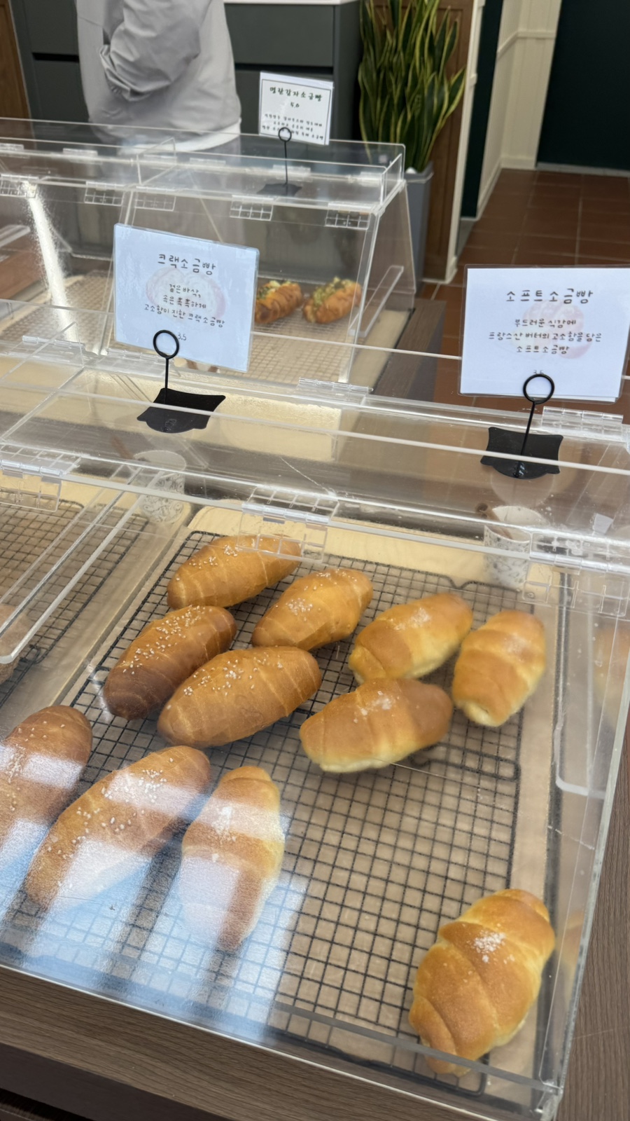 신비해로 사진 5