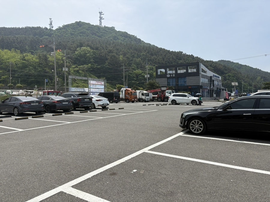 황금성 사진 5