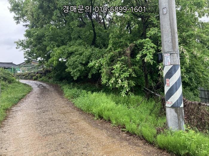  경기도 화성시 팔탄면 월문리 임야 경매, 계획관리지역 산17 토지 투자 기회! 2024타경4468