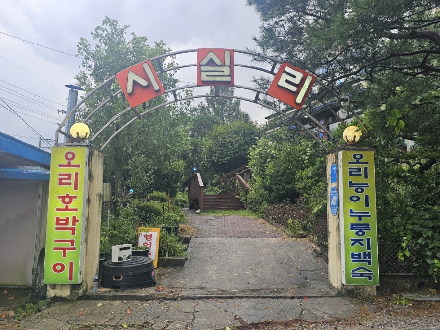 시실리 사진 1