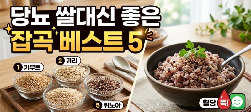 당뇨 쌀 대신 먹는 잡곡 베스트 5! 혈당 스파이크 잡는 황금 비율